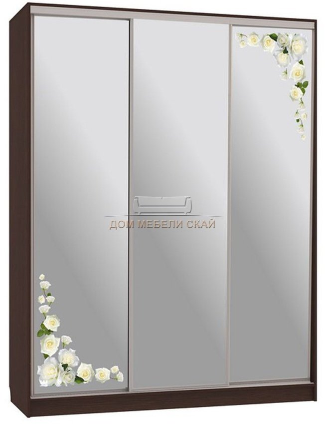 Шкаф-купе 3-дверный зеркальный Бассо 4-600, венге/розы
