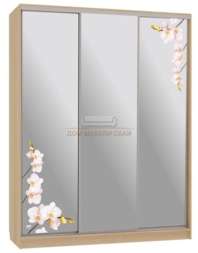 Шкаф-купе 3-дверный зеркальный Бассо 4-600, дуб сонома/орхидеи