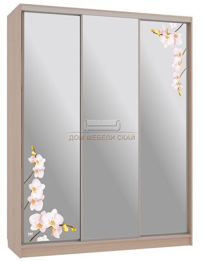 Шкаф-купе 3-дверный зеркальный Бассо 4-600, дуб млечный/орхидеи